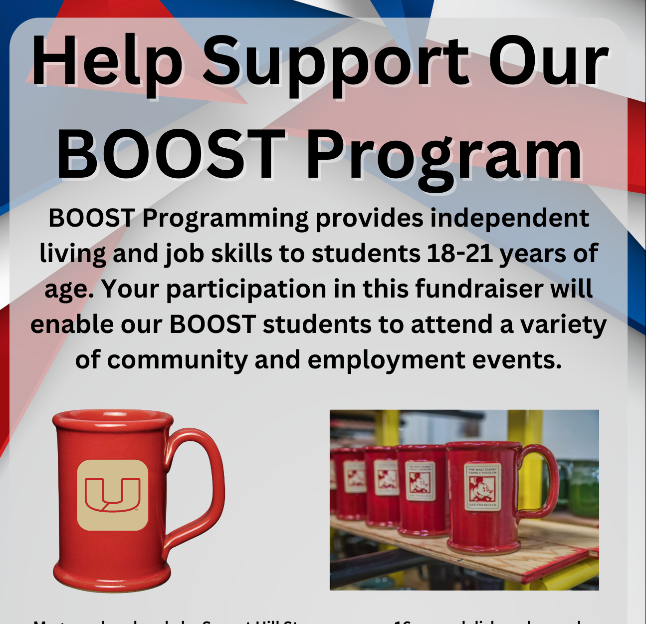 Mug Order 2024 BOOST Program public promo