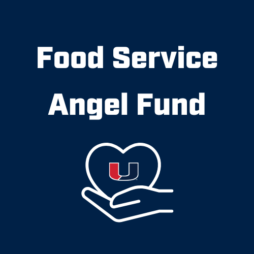 Angel fund